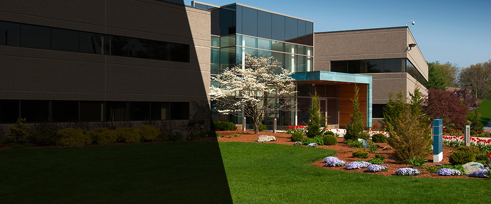 Prospect Heights Landscapers