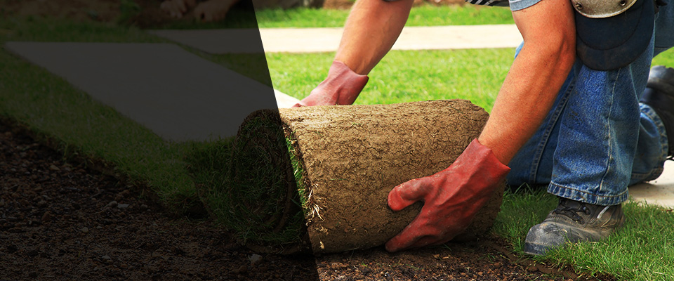 Prospect Heights Landscapers